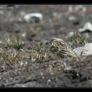 IMG 4832