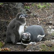 IMG 4846