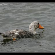 IMG 5045