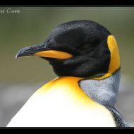 IMG 5686