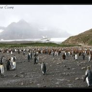 IMG 5691