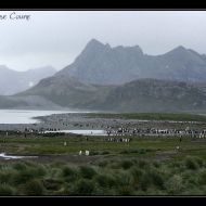 IMG 5896