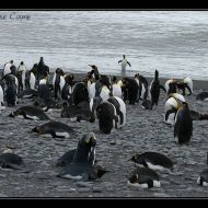 IMG 5993