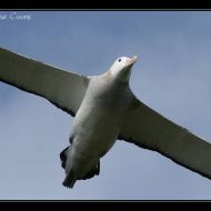 IMG 6482
