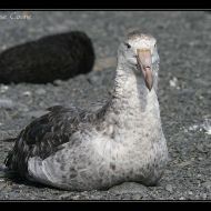 IMG 6586