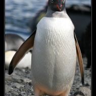 IMG 6596