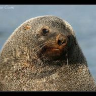 IMG 6673