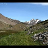 IMG 6798