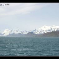 IMG 6852