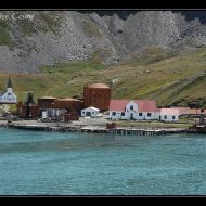 IMG 6884