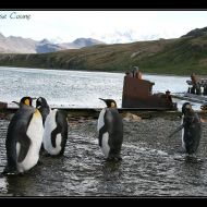IMG 7092