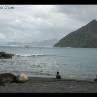 IMG 7154
