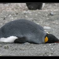 IMG 7227