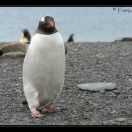 IMG 7346