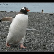 IMG 7347