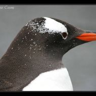 IMG 7349