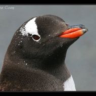 IMG 7376