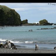 IMG 7446