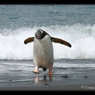 IMG 7479
