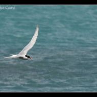 IMG 7488