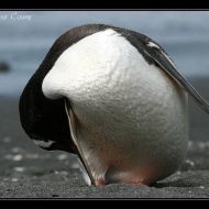 IMG 7534