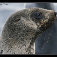 IMG 7539