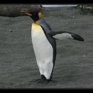 IMG 7546