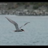IMG 7580