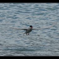 IMG 7583