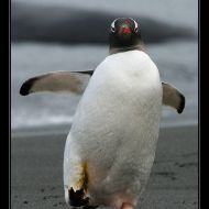 IMG 7592