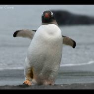 IMG 7595