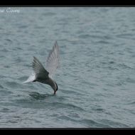 IMG 7596