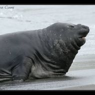 IMG 7613
