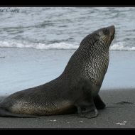 IMG 7621