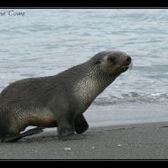 IMG 7622