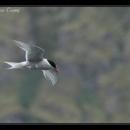 IMG 7648