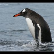 IMG 7660