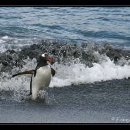 IMG 7664