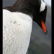 IMG 7666