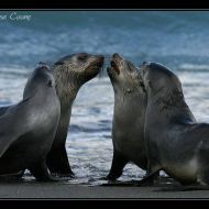 IMG 7686