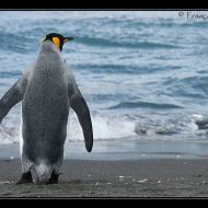 IMG 7690