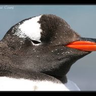 IMG 7720