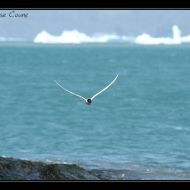 IMG 7767