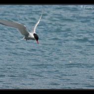 IMG 7773