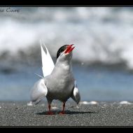 IMG 7782