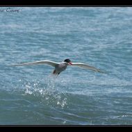 IMG 7813