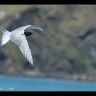 IMG 7816