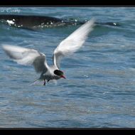 IMG 7818