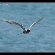 IMG 7828
