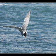 IMG 7829